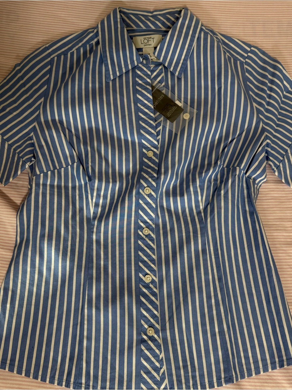 LOFT Blue and White Vertical Stripe Button-Down Shirt